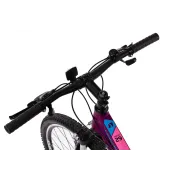 Bicicleta Mtb Terrana 2922 - 29 Inch, S, Violet