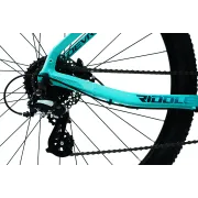 Bicicleta Mtb Devron Riddle RW1.9 - 29 Inch, L, Turcoaz