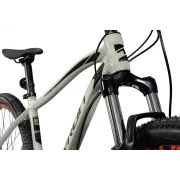 Bicicleta Mtb Devron Riddle 2023 RM3.9 - 29 Inch, XL, Argintiu