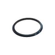 Seal For Freehub Driver Body S27/30 - Black