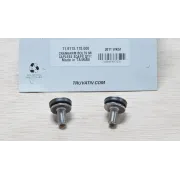 Crank Arm Bolts Truvativ M8 Capless - Silver
