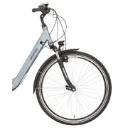 Bicicleta Electrica Devron 54803 - 28 Inch, 460 mm, Gri