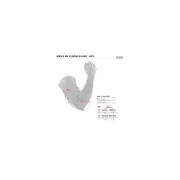 Protectii Cot Alpinestars Paragon Plus Negru/Rosu M