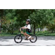 Bicicleta Copii Royal Baby Kable-Belt 16 Golden