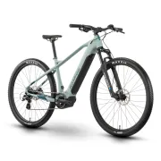 Bicicleta Electrica Raymon Mtb Hardray Select 2025 - 29 Inch, XL, Verde - Altus