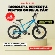 Bicicleta Copii BR BR-D2007A 2025 - 20 inch, Albastru