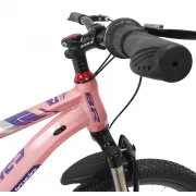Bicicleta Copii BR BR-D2007R 2025 - 20 inch, Roz