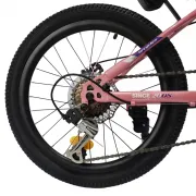 Bicicleta Copii BR BR-D2007R 2025 - 20 inch, Roz