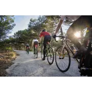 Garmin - Radar si lumină spate pentru bicicletă - Varia Radar RTL515