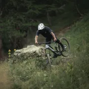 Orbea WILD M20 Halo Silver-Tanzanite Carbon View - bicicletă electrică eMTB Enduro