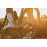 Merida - Scultura Endurance GR 5000 II2 - silk low key green | bronze