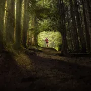 Garmin inReach mini 2 - comunicator prin satelit - negru