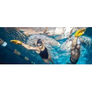 Finis Agility palmare