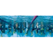 Finis Zoomers Gold labe scurte