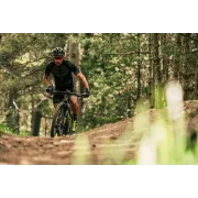 Merida Big.Nine 700 - bicicleta MTB hardtail XC 29" - verde Ever Green