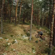 Orbea Urrun 30 - bicicleta electrica MTB - albastru galben