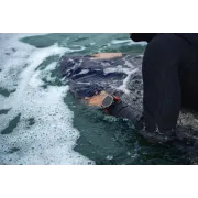 Smartwatch sport cu GPS si ecran AMOLED - Amazfit T-Rex 3 - lava