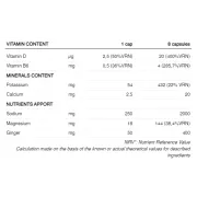 226ers - capsule sare - sub9 salts electrolytes - 100 capsule