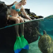 Finis - labe inot adulti Luna Monofin - roz inchis pepene verde fluo