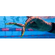 Finis Fulcrum Antebrat juniori