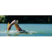 Finis Freestyler palmare