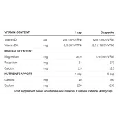 226ers - capsule sare - pro salts electrolytes SUB9 - 100 capsule