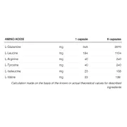 226ers - capsule amino - 6.4 Amino + Glutamine + BCAA + L-Argintine + L-Tirosine - 120 capsule