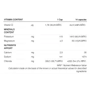 226ers - capsule sare - salts electrolytes - 100 capsule