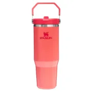 Stanley - termos tip sticla cu pai - Iceflow Flip Straw Tumbler 2.0 - coral - 0.89 L