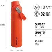 Stanley -termos tip sticla Aerolight Iceflow Fast Flow Lid bottle - portocaliu crin tiger lily - 591 ml