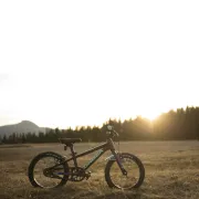 Orbea - bicicleta copii MX 24 Park - galben fluo-rosu