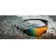 Spiuk - ochelari soare sport Profit, 2 lentile de schimb transparent si verde oglinda  - rama multicolora (irizata)