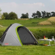 Cort Coleman Darwin 2 gri - 2176903