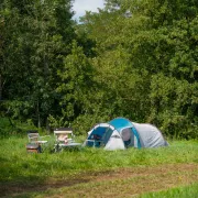 Cort Cort Coleman Cortes 3 Albastru - 2000035209