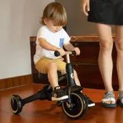 Tricicleta evolutiva pliabila Qplay STAGER Platinum