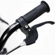 Bicicleta Royal Baby EZ Freestyle 16 Green