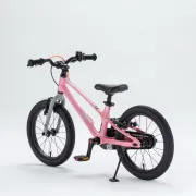 Bicicleta Royal Baby EZ Space Shark 14 Pink