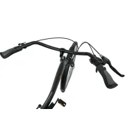 Bicicleta Oras Prophete 52408C - 28 inch, M, Gri
