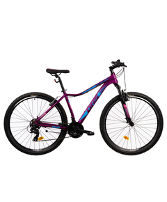 Bicicleta Mtb Terrana 2922 - 29 Inch, S, Violet, Culoare produs: Violet, Marime produs: S