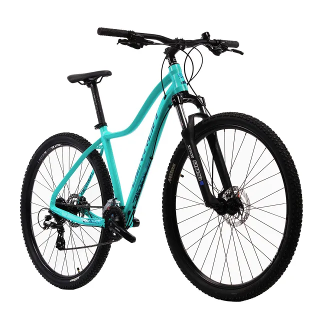 Bicicleta Mtb Devron Riddle RW1.9 - 29 Inch, L, Turcoaz