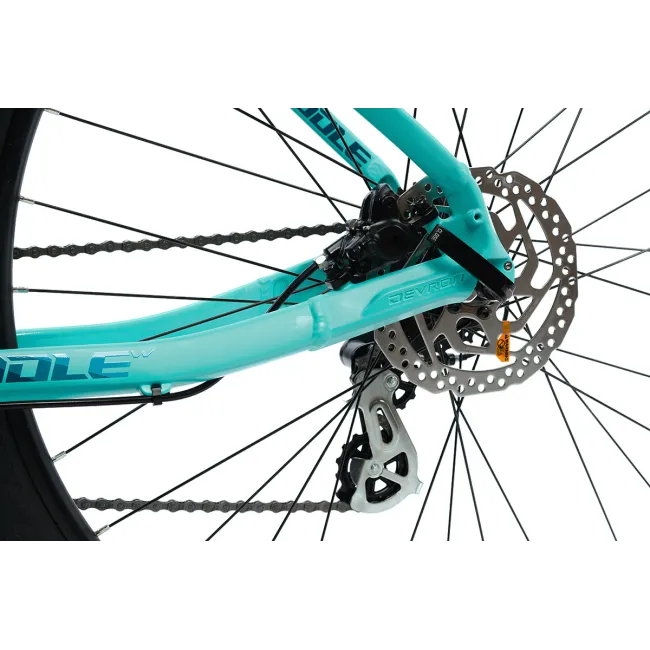Bicicleta Mtb Devron Riddle RW1.9 - 29 Inch, L, Turcoaz
