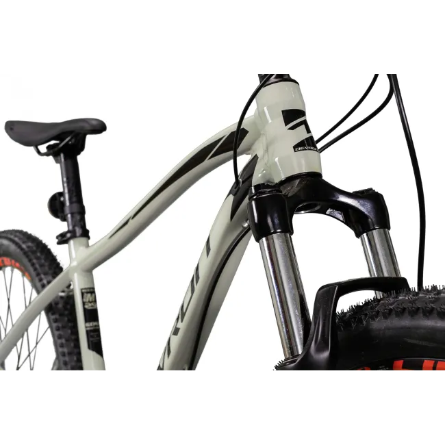 Bicicleta Mtb Devron Riddle 2023 RM3.9 - 29 Inch, XL, Argintiu