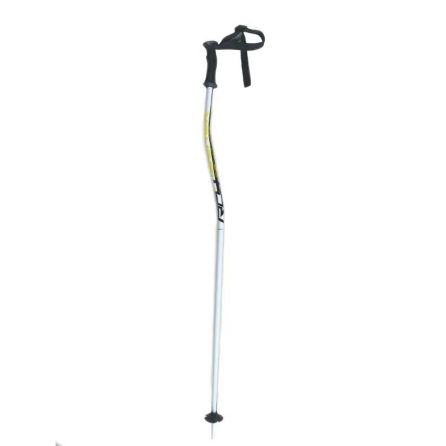 Bete schi Copii Fischer RC4 WCGS JR, 105cm
