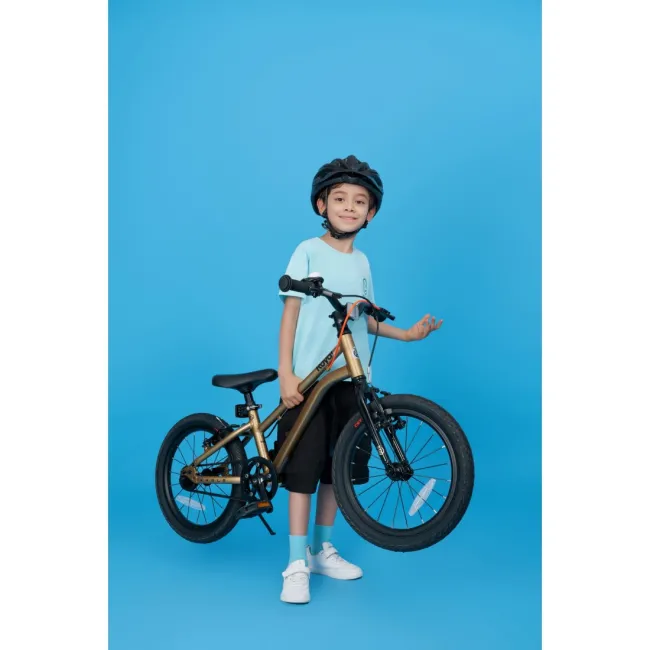 Bicicleta Copii Royal Baby Kable-Belt 16 Golden