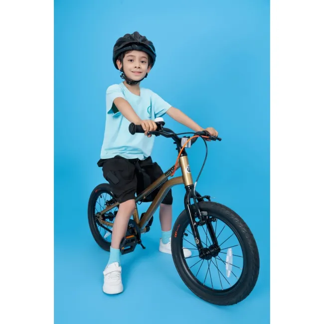 Bicicleta Copii Royal Baby Kable-Belt 16 Golden
