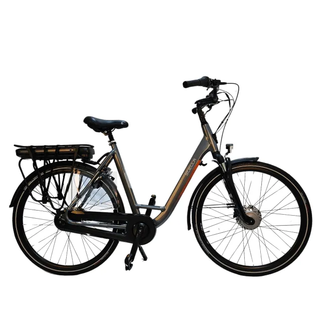 Bicicleta Electrica Stella Livorno Dama FDST RTE 2.0 - 28 Inch, M, Gri