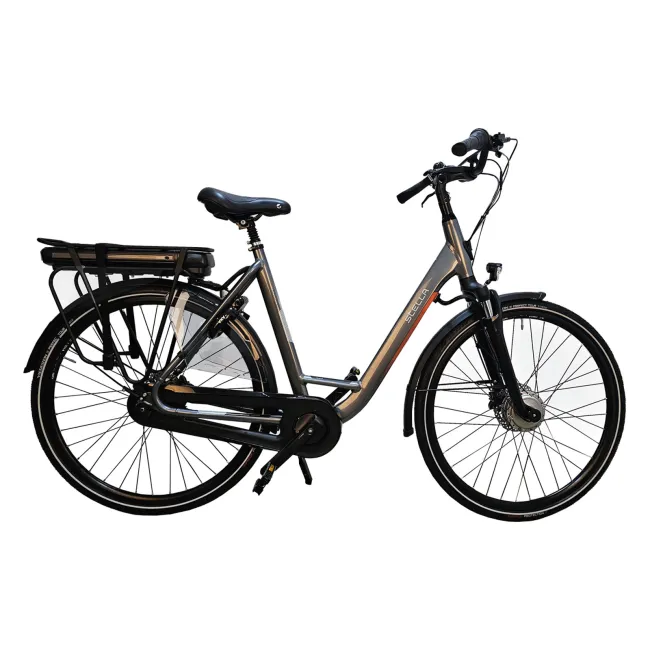 Bicicleta Electrica Stella Livorno Dama FDST RTE 2.0 - 28 Inch, XL, Gri