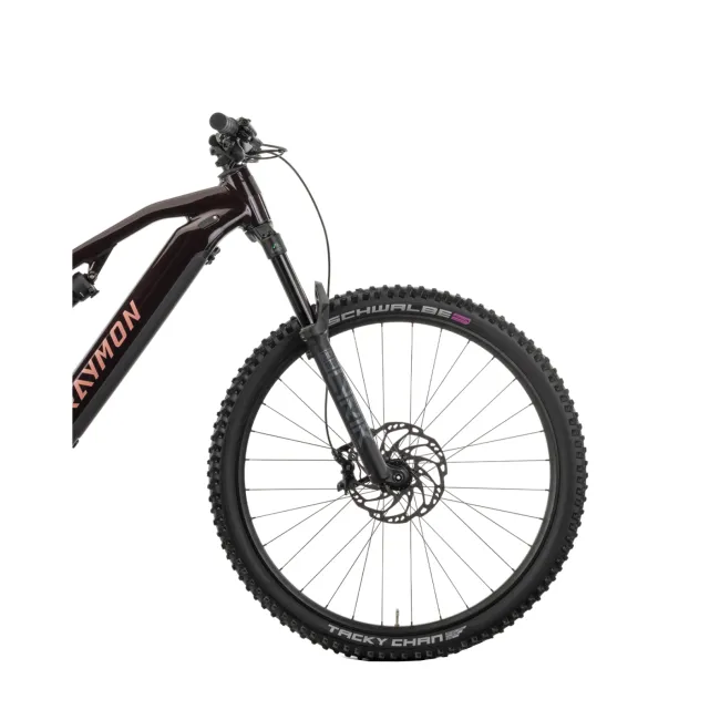 Bicicleta Electrica Raymon Full Suspension Trailray 150 Pro 2025 - 29 Inch, L, Negru - SLX