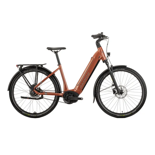 Bicicleta Electrica Raymon Oras Metmo CB 2025 - 27.5 Inch, S, Maro - Nexus