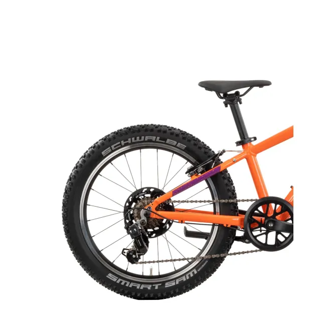 Bicicleta Copii Raymon Yanga 20 2025 - 20 Inch, Portocaliu - TY200